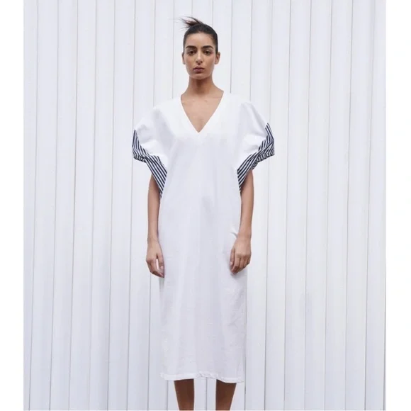 NWOT Zara Puff Sleeve Maxi Dress